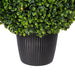 TP171524LED Decor/Faux Florals/Plants & Trees