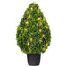 TP171524LED Decor/Faux Florals/Plants & Trees