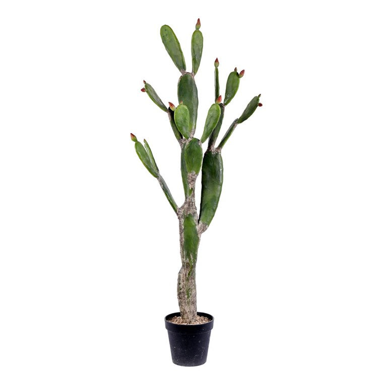 Product Image: FE191457 Decor/Faux Florals/Plants & Trees