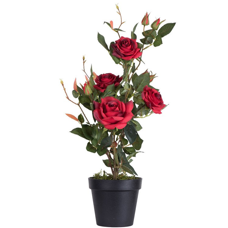 Product Image: TA181703 Decor/Faux Florals/Plants & Trees