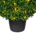 TP171320LED Decor/Faux Florals/Plants & Trees