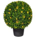 TP171320LED Decor/Faux Florals/Plants & Trees