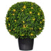 TP171320LED Decor/Faux Florals/Plants & Trees