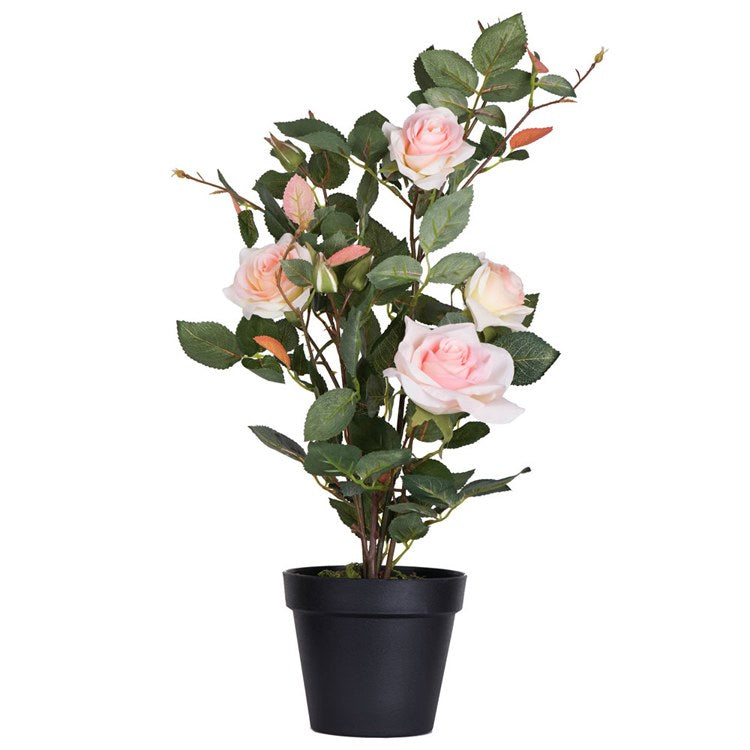 Product Image: TA181779 Decor/Faux Florals/Plants & Trees